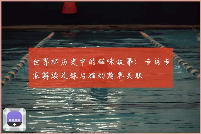 世界杯历史中的猫咪故事：专访专家解读足球与猫的跨界关联