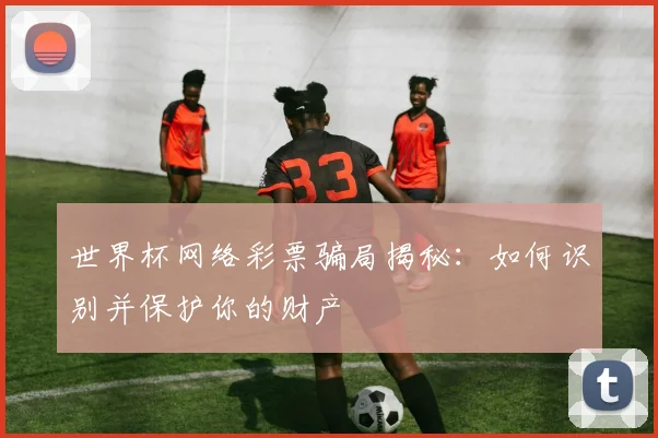 世界杯网络彩票骗局揭秘：如何识别并保护你的财产