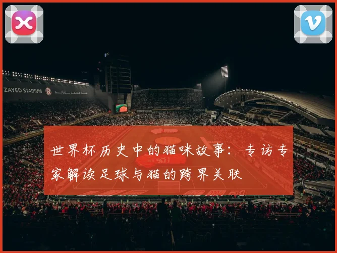 世界杯历史中的猫咪故事：专访专家解读足球与猫的跨界关联