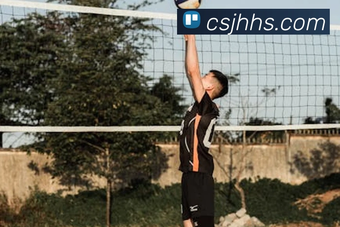 网上世界杯服务体系